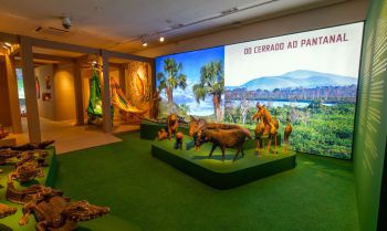 Artesanato do Centro-Oeste compõe exposição no Rio