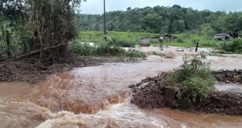 ‘Tragédia sem precedentes no campo’, dizem pequenos agricultores do RS