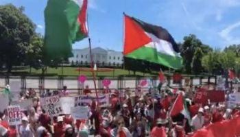Multidão na Casa Branca exige o fim da guerra em Gaza e condenação dos crimes de Israel