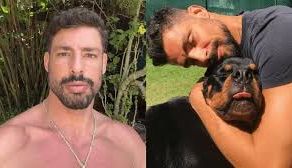 A misteriosa onda de mortes de pets por envenenamento que atingiu até ator da Globo